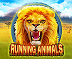 Running Animals